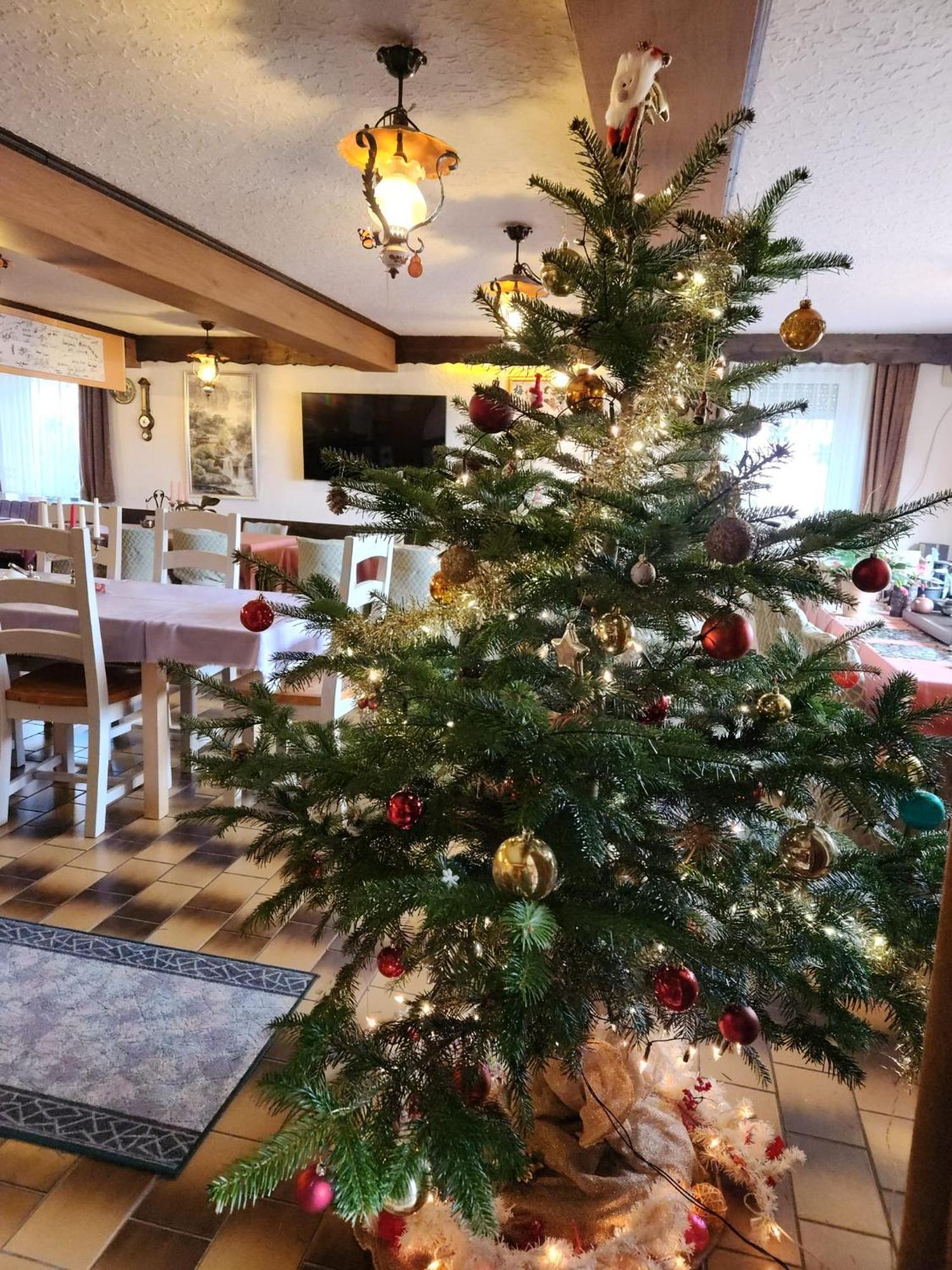 Gasthaus Hochwald Hattgenstein Eksteriør billede